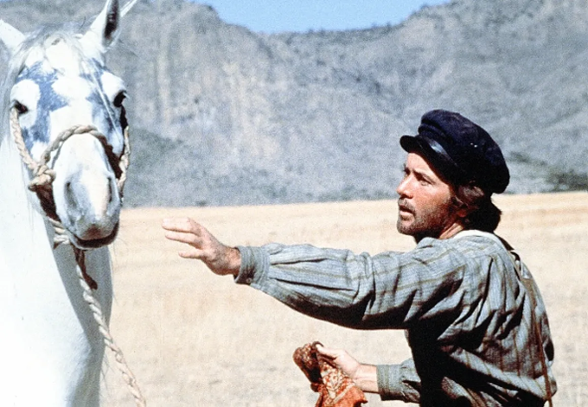 Orlí pero (Eagle’s Wing), 1978 - fotogaléria