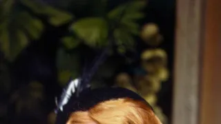 Návrat na Brideshead (9/11)