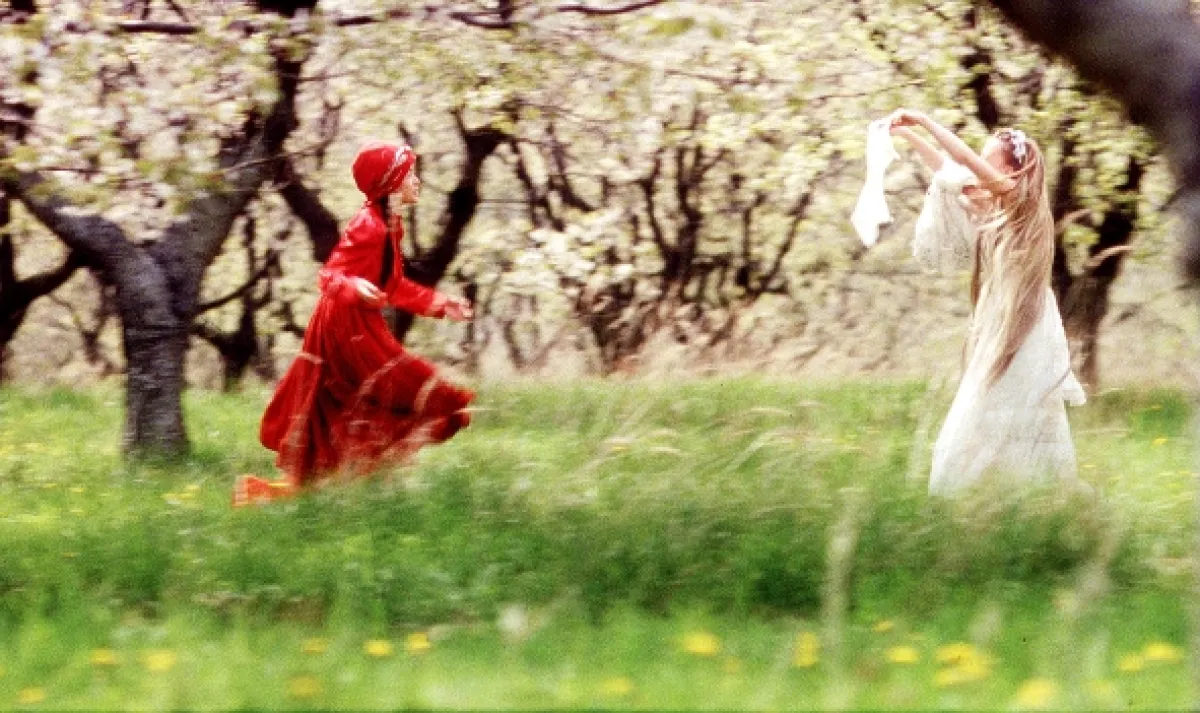 Kytice (WILD FLOWERS), 2000 - fotogaléria