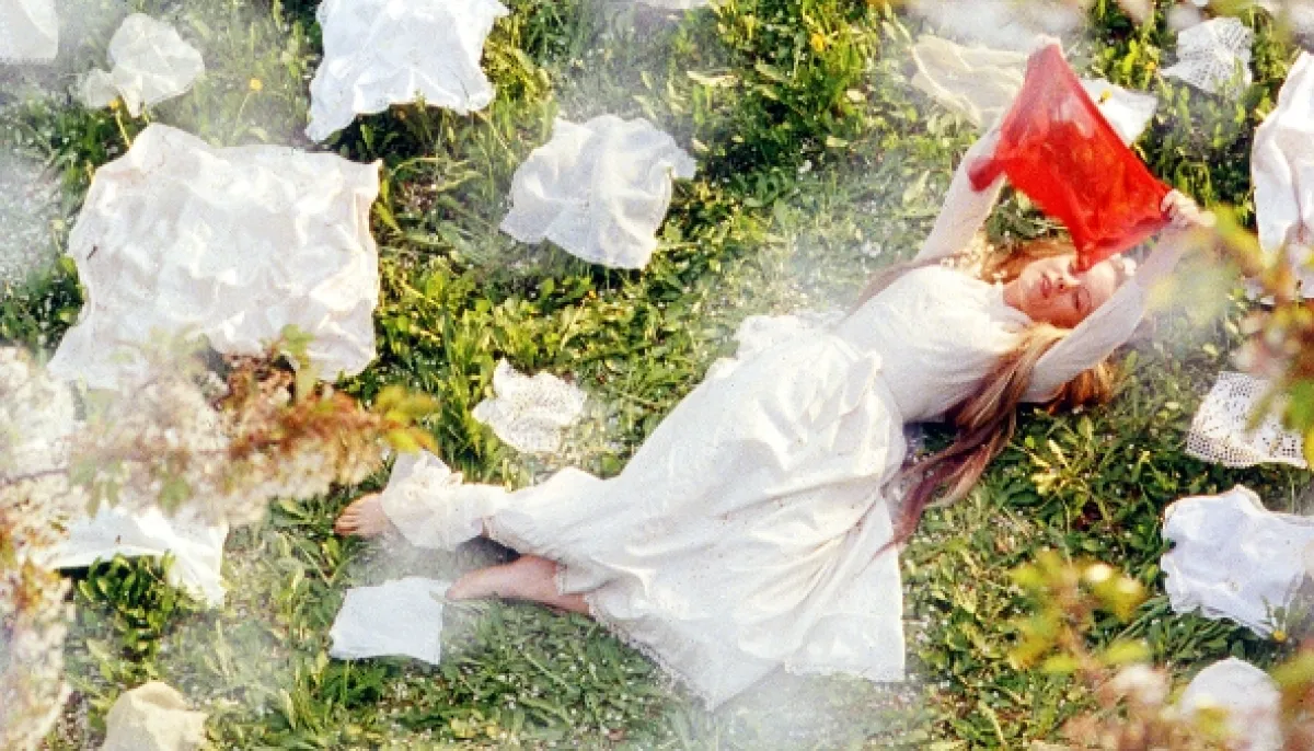 Kytice (WILD FLOWERS), 2000 - fotogaléria