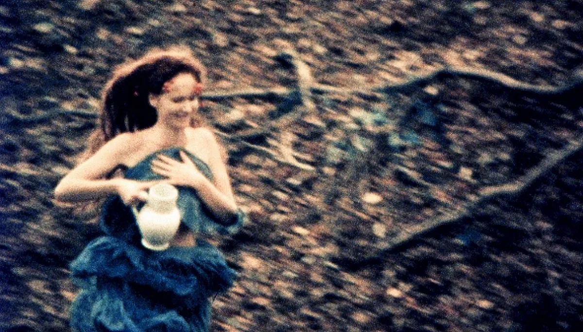 Kytice (WILD FLOWERS), 2000 - fotogaléria