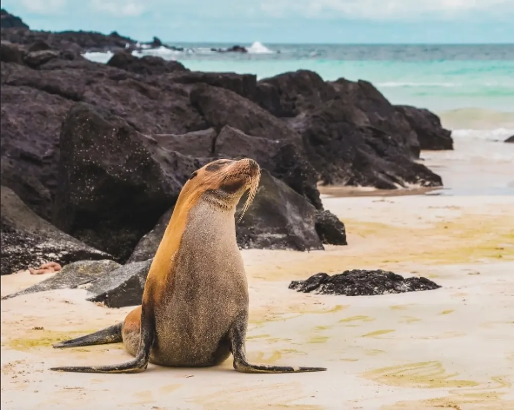 Galapágy: Na konci světa (Galapagos: The Edge of the World), 2018 - fotogaléria