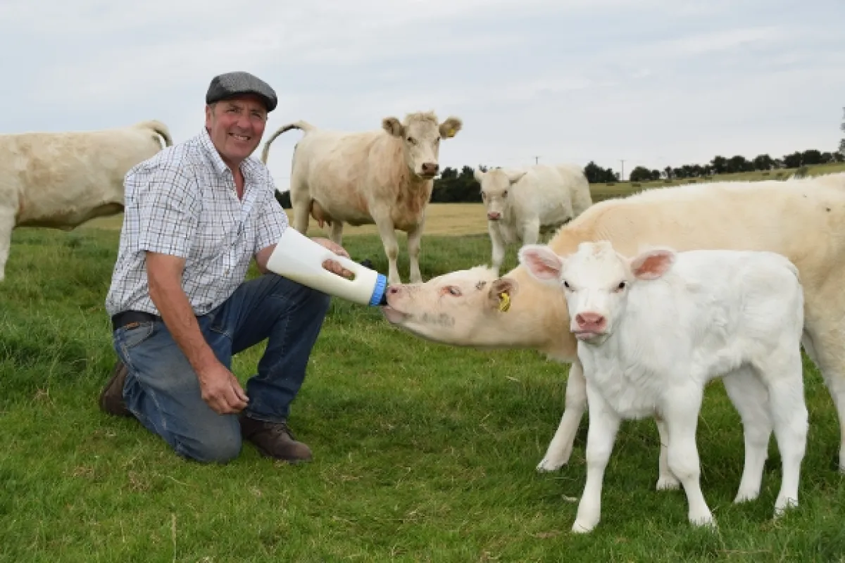 Veterinář z Yorkshiru (The Yorkshire Vet), 2019 - fotogaléria