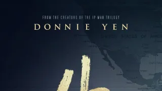 Ip Man 4: The Finale