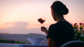 Milovníci vína (1/16)