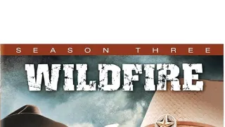 Wildfire III (1)