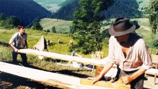 Želary