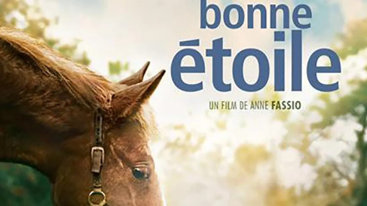 Moje šťastná hvězda (Ma bonne étoile), 2012 - fotogaléria