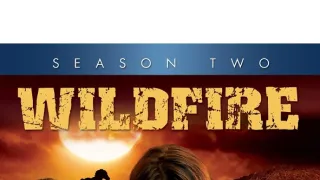 Wildfire II (12)