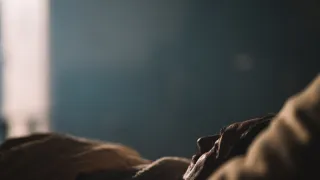 Vzestup nacistů - Pád (2/3)