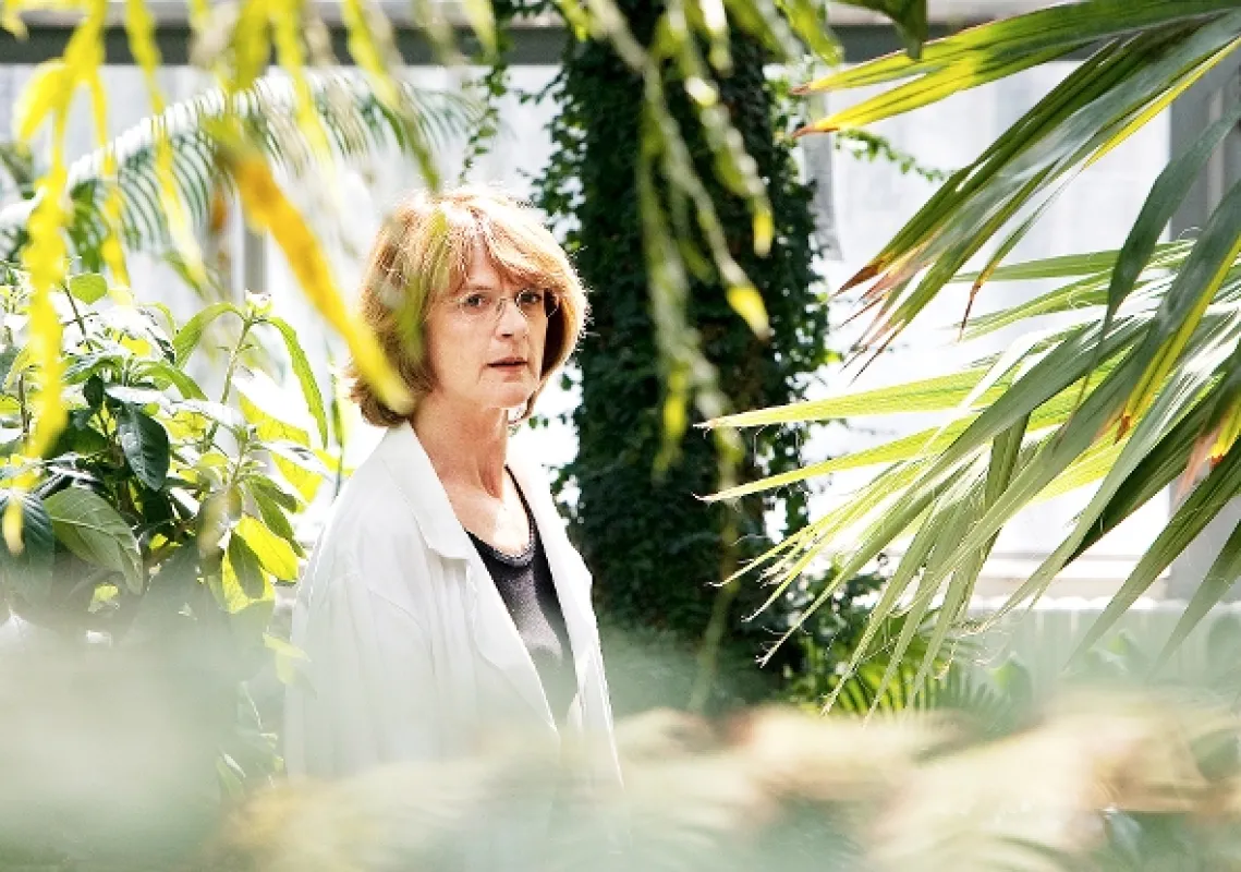 Ztracená brána, 2012 - fotogaléria