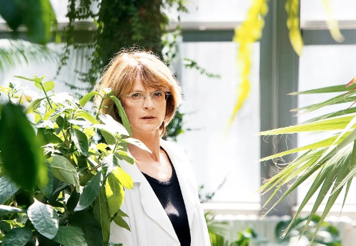 Ztracená brána, 2012 - fotogaléria