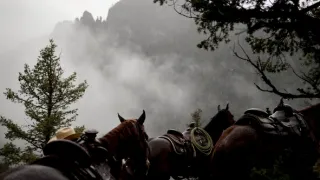 Yellowstone (8/9)