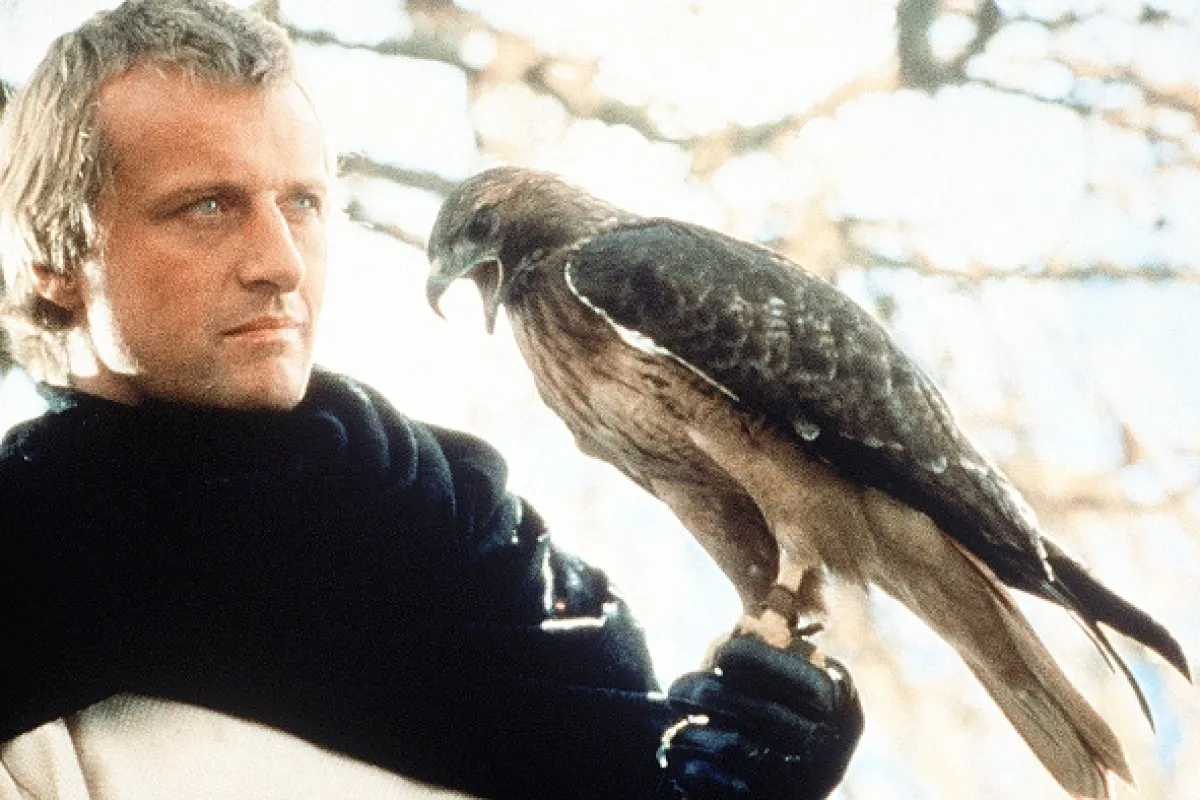 Jastrabia žena (Ladyhawke), 1985 - fotogaléria