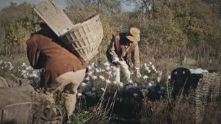Největší apokalypsy dějin II (2/6)