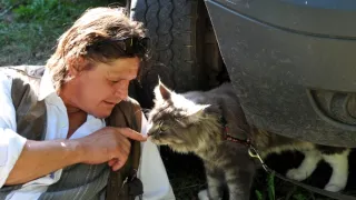 Okno do hřbitova