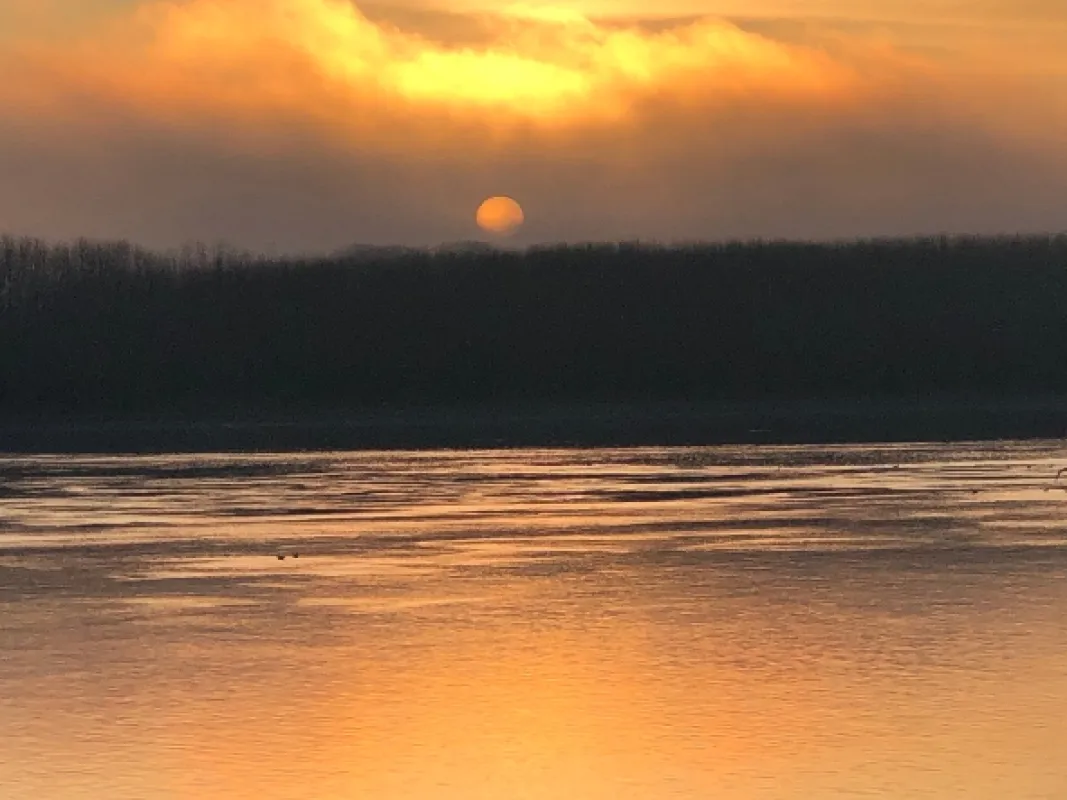 Dunaj - proti proudu (Danube: Against The Flow, The), 2020 - fotogaléria