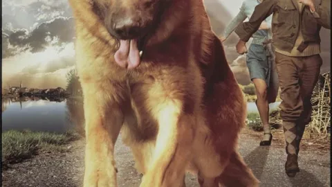 Sniff, válečný hrdina