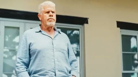 Joe Baby