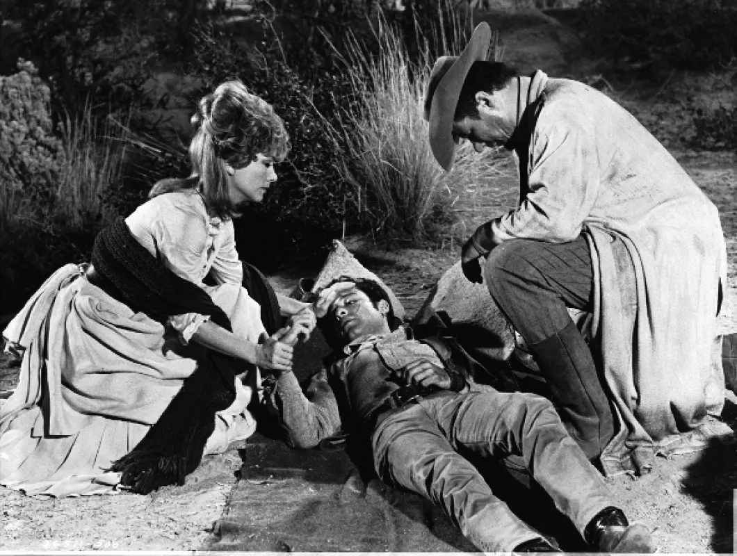 Cizinec na útěku (Stranger on the Run), 1967 - fotogaléria