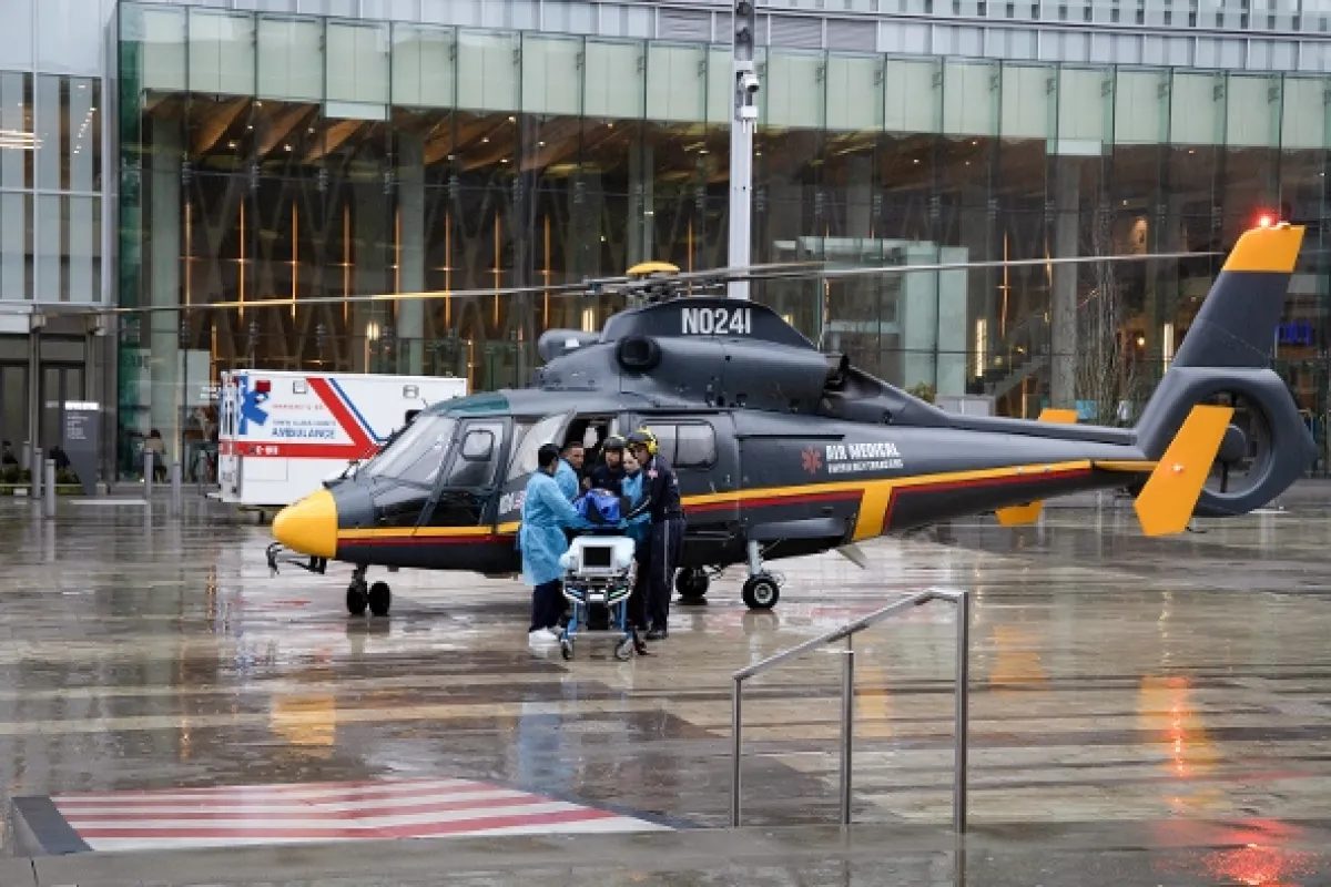 Dobrý doktor, 2019 - fotogaléria