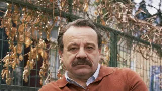 Isztambuli árvák II (50)