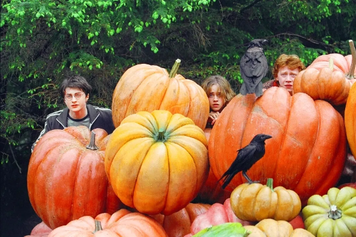 Harry Potter a vězeň z Azkabanu (Harry Potter and the Prisoner of Azkaban), 2004 - fotogaléria