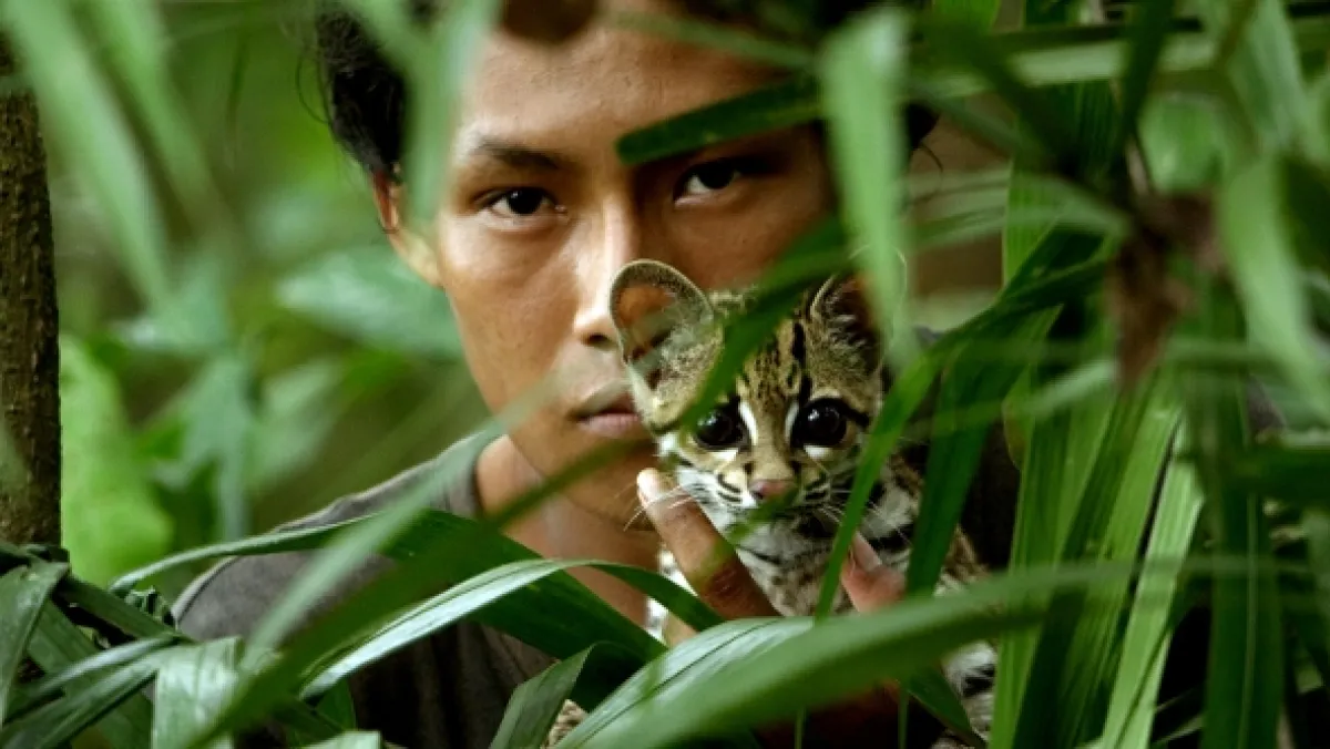 Ocelot a já - fotogaléria