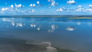 Divočina z výšky