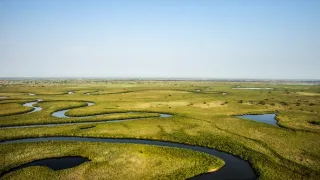 Divočina z výšky