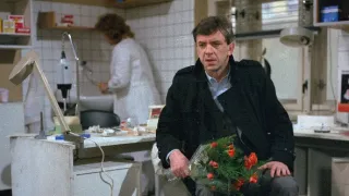 Přátelská výpomoc