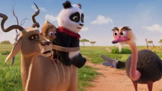 Medvedík panda v Afrike