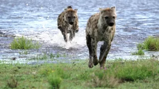 Zázračná planeta: Dynastie II (5/6)