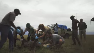 Zázračná planeta: Dynastie II (5/6)