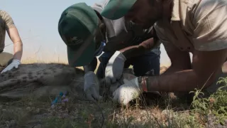 Zázračná planeta: Dynastie II (5/6)