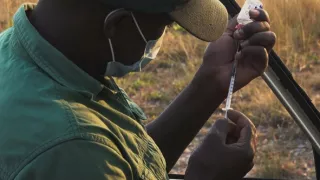 Zázračná planeta: Dynastie II (5/6)