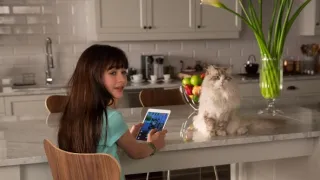 Já, kocour