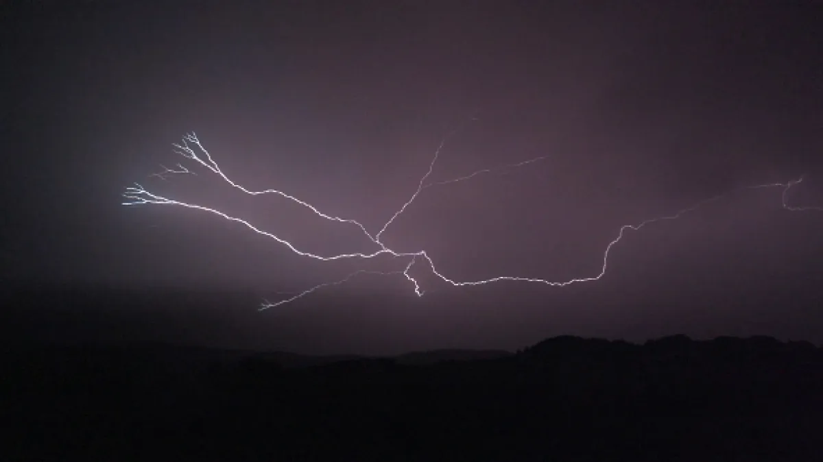 Skrytá příroda vojenských prostorů (Make Nests, Not War – The Hidden Nature of Military Grounds), 2020 - fotogaléria