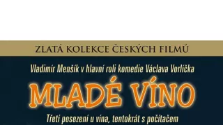 Mladé víno