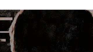 Proslulé atentáty (2)