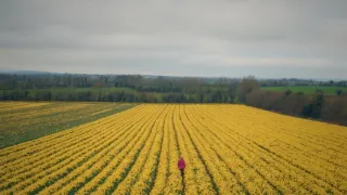 Evropa z výšky