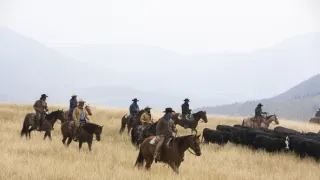 Yellowstone II (2/10)