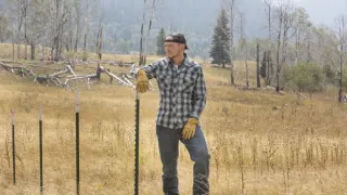 Yellowstone II (2/10)