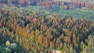 Pohľady zhora IV