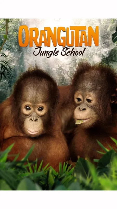 Orangutaní škola v džungli, 2018 - fotogaléria