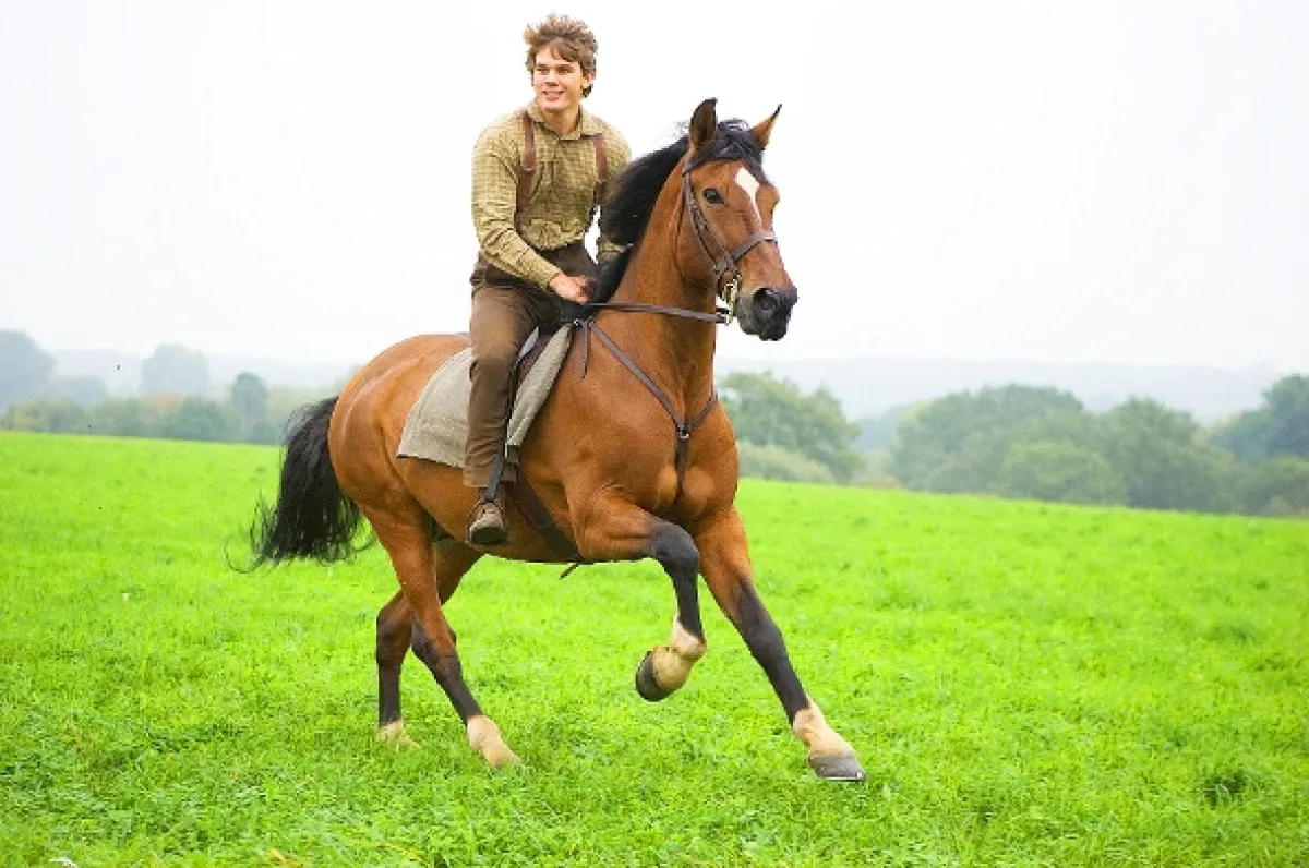 Válečný kůň (War Horse), 2011 - fotogaléria