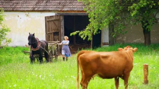 Kryštof