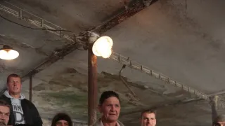 Päť mŕtvych psov (1/3)