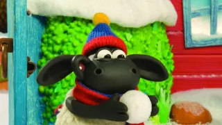 Kamarád Timmy III
