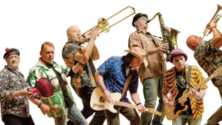 Yo Yo Band 50